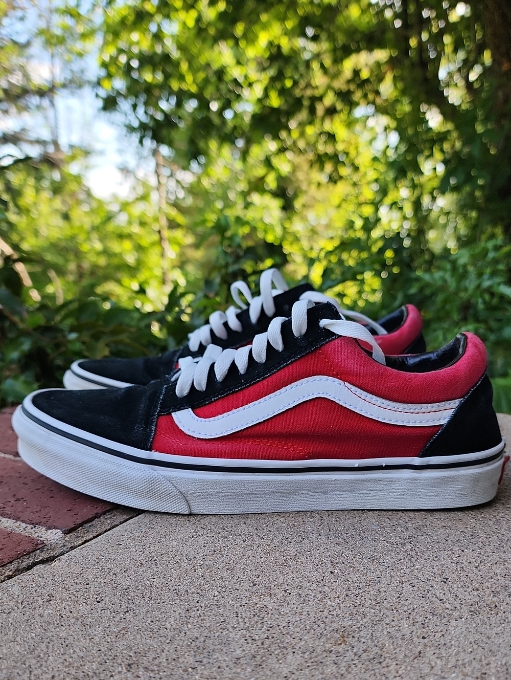 Vans Low-Top Skate Sneakers in Red and Black